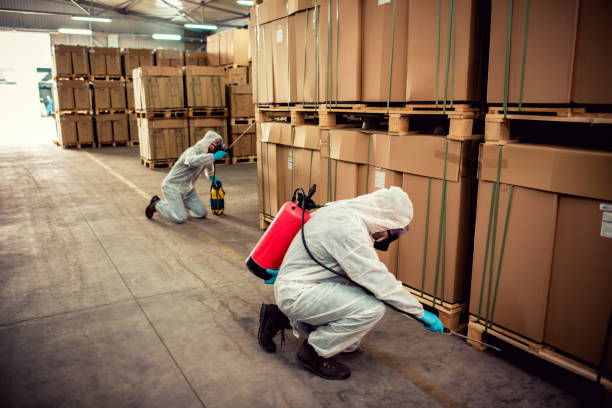Best Residential Pest Control  in Wilsons Mills, NC