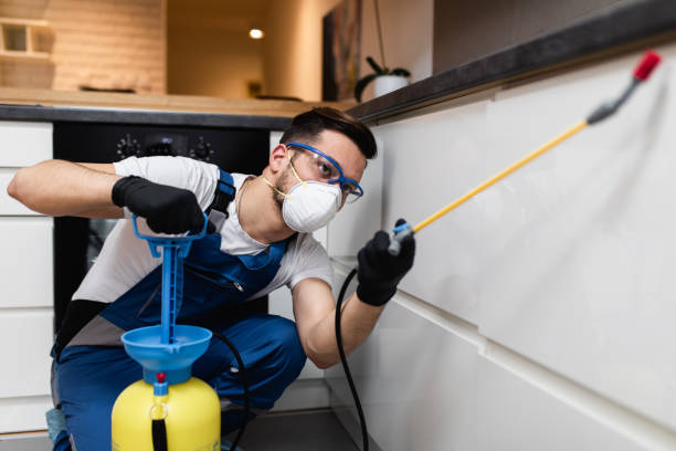 Best Bed Bug Extermination  in Wilsons Mills, NC
