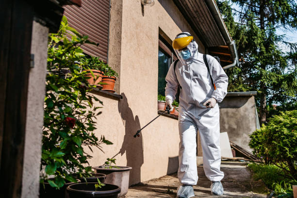 Best Pest Inspection Near Me  in Wilsons Mills, NC