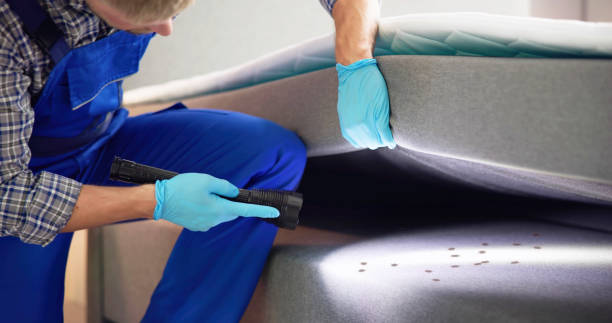 Best Residential Pest Control  in Wilsons Mills, NC