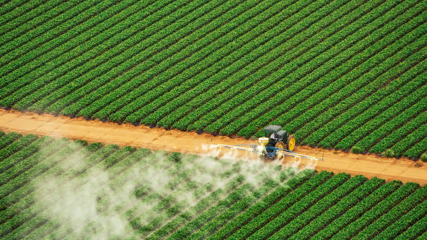 Best Best Pest Control Companies  in Wilsons Mills, NC