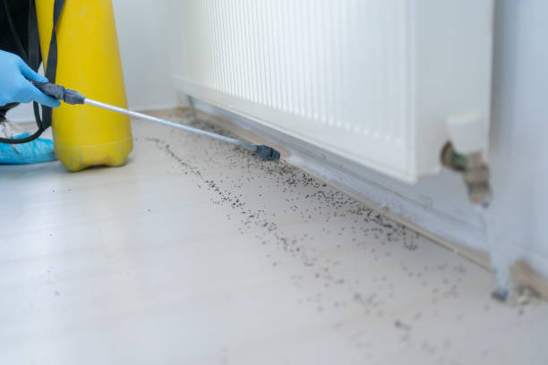 Best Mosquito Control Services  in Wilsons Mills, NC