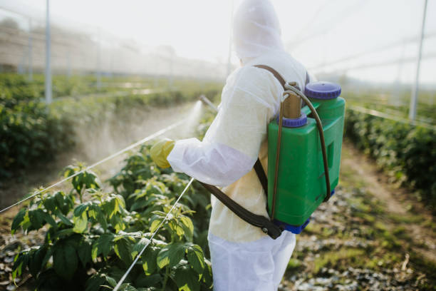 Best Cockroach Control Services  in Wilsons Mills, NC